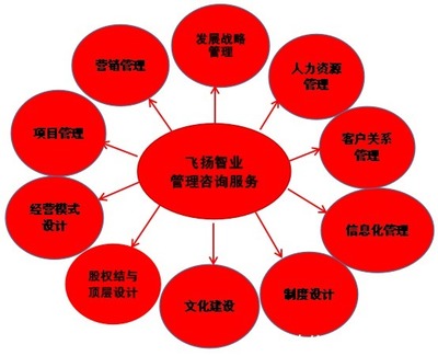 管理咨詢服務(wù)哪家強(qiáng)？專業(yè)信息咨詢機(jī)構(gòu)的選擇與考量